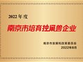 云创大数据荣膺“2022年度南京市培育独角兽企业”！